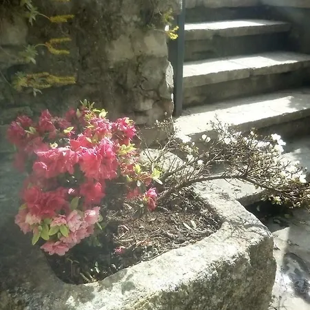 Casa Del Borgo Hébergement de vacances Pognana Lario